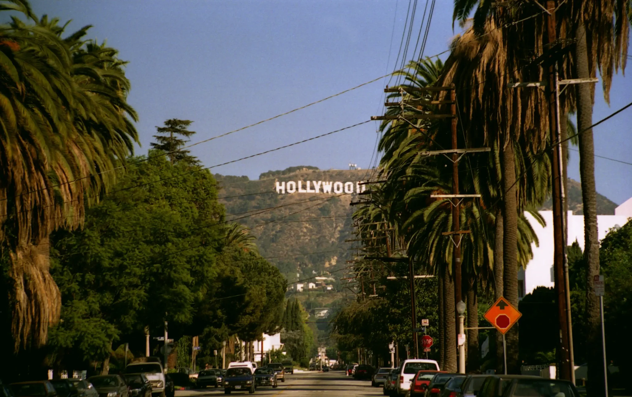 Road with palm trees and Hollywood sign in the back